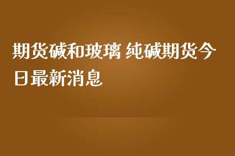 期货碱和玻璃 纯碱期货今日最新消息_https://www.iteshow.com_期货交易_第2张