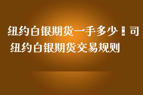 纽约白银期货一手多少盎司 纽约白银期货交易规则_https://www.iteshow.com_期货手续费_第2张