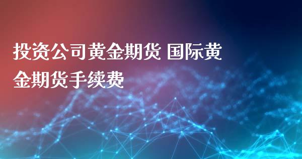 投资公司黄金期货 国际黄金期货手续费_https://www.iteshow.com_期货知识_第2张