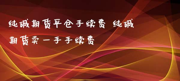 纯碱期货平仓手续费 纯碱期货卖一手手续费_https://www.iteshow.com_原油期货_第2张