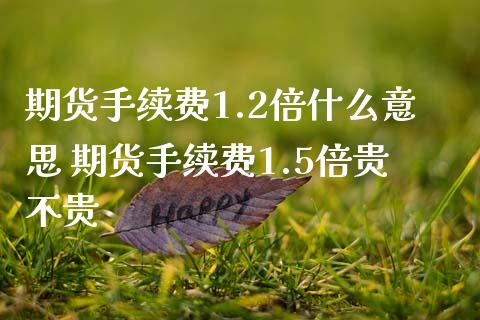 期货手续费1.2倍什么意思 期货手续费1.5倍贵不贵_https://www.iteshow.com_期货手续费_第2张