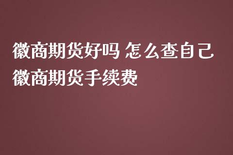 徽商期货好吗 怎么查自己徽商期货手续费_https://www.iteshow.com_股指期货_第2张