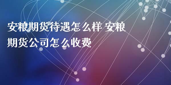 安粮期货待遇怎么样 安粮期货公司怎么收费_https://www.iteshow.com_商品期权_第2张