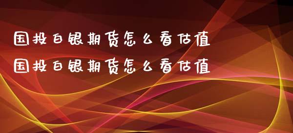 国投白银期货怎么看估值 国投白银期货怎么看估值_https://www.iteshow.com_原油期货_第2张