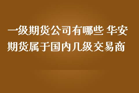 一级期货公司有哪些 华安期货属于国内几级交易商_https://www.iteshow.com_期货百科_第2张