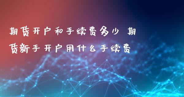 期货开户和手续费多少 期货新手开户用什么手续费_https://www.iteshow.com_期货手续费_第2张