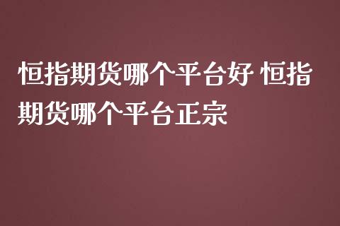 恒指期货哪个平台好 恒指期货哪个平台正宗_https://www.iteshow.com_商品期货_第2张