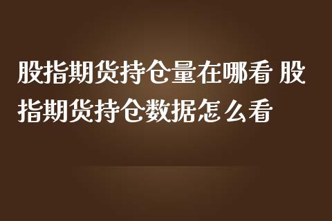 股指期货持仓量在哪看 股指期货持仓数据怎么看_https://www.iteshow.com_商品期货_第2张