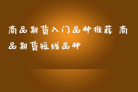 商品期货入门品种推荐 商品期货短线品种_https://www.iteshow.com_股指期权_第2张