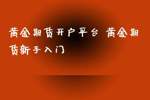 黄金期货开户平台 黄金期货新手入门_https://www.iteshow.com_商品期货_第2张