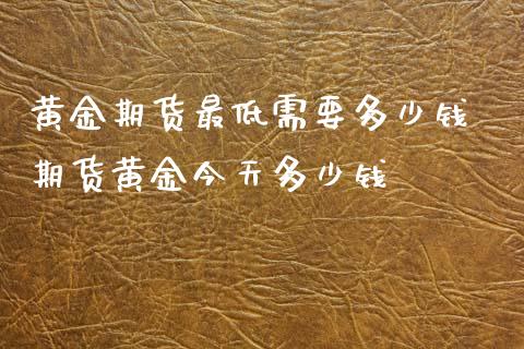 黄金期货最低需要多少钱 期货黄金今天多少钱_https://www.iteshow.com_原油期货_第2张