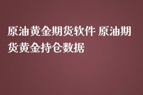 原油黄金期货软件 原油期货黄金持仓数据_https://www.iteshow.com_商品期权_第2张