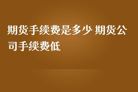 期货手续费是多少 期货公司手续费低_https://www.iteshow.com_期货公司_第2张