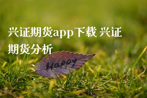 兴证期货app下载 兴证期货分析_https://www.iteshow.com_期货交易_第2张