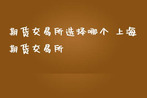 期货交易所选择哪个 上海期货交易所_https://www.iteshow.com_股指期货_第2张