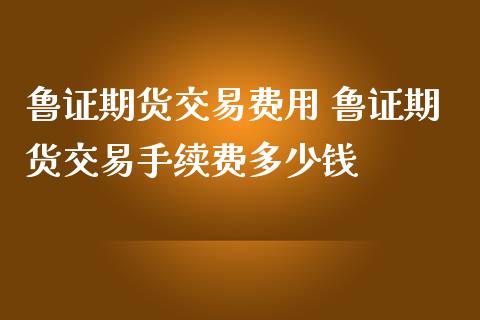 鲁证期货交易费用 鲁证期货交易手续费多少钱_https://www.iteshow.com_期货品种_第2张