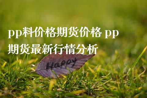 pp料价格期货价格 pp期货最新行情分析_https://www.iteshow.com_期货知识_第2张