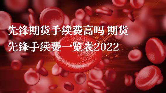 先锋期货手续费高吗 期货先锋手续费一览表2022_https://www.iteshow.com_商品期权_第2张