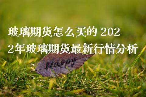 玻璃期货怎么买的 2022年玻璃期货最新行情分析_https://www.iteshow.com_期货公司_第2张