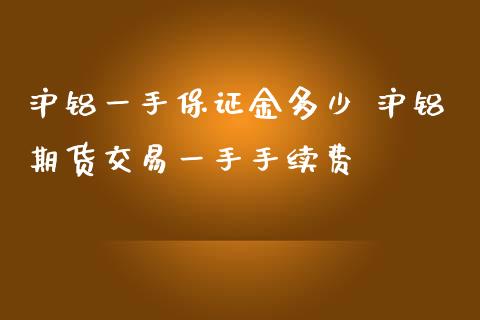 沪铝一手保证金多少 沪铝期货交易一手手续费_https://www.iteshow.com_期货手续费_第2张