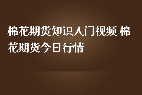 棉花期货知识入门视频 棉花期货今日行情_https://www.iteshow.com_期货知识_第2张