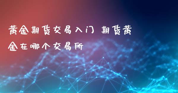 黄金期货交易入门 期货黄金在哪个交易所_https://www.iteshow.com_期货百科_第2张