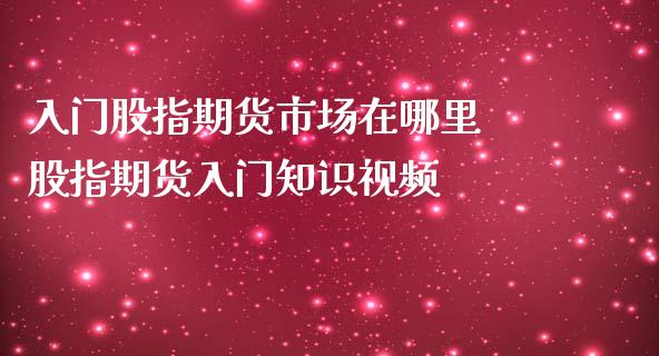 入门股指期货市场在哪里 股指期货入门知识视频_https://www.iteshow.com_期货品种_第2张