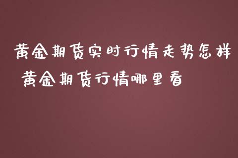 黄金期货实时行情走势怎样 黄金期货行情哪里看_https://www.iteshow.com_股指期货_第2张