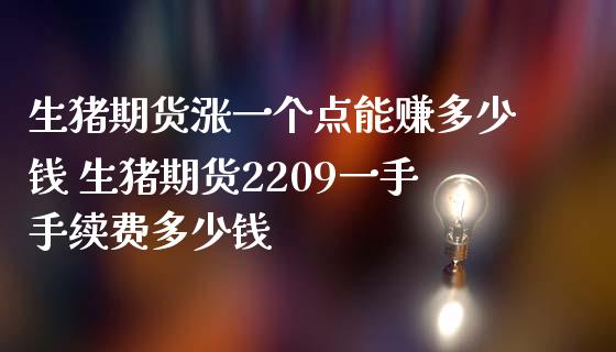 生猪期货涨一个点能赚多少钱 生猪期货2209一手手续费多少钱_https://www.iteshow.com_期货公司_第2张