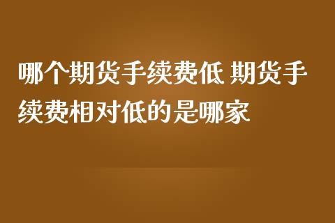 哪个期货手续费低 期货手续费相对低的是哪家_https://www.iteshow.com_股指期货_第2张