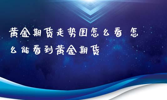 黄金期货走势图怎么看 怎么能看到黄金期货_https://www.iteshow.com_期货品种_第2张