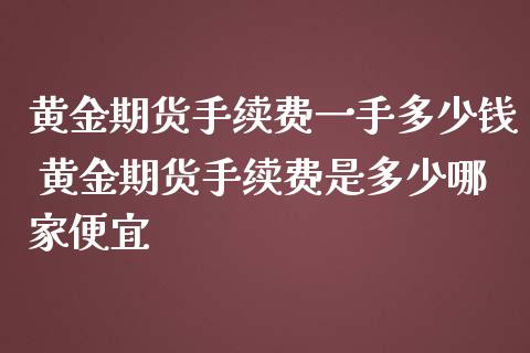 黄金期货手续费一手多少钱 黄金期货手续费是多少哪家便宜_https://www.iteshow.com_期货手续费_第2张