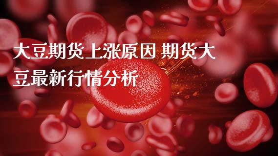 大豆期货上涨原因 期货大豆最新行情分析_https://www.iteshow.com_商品期权_第2张