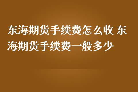 东海期货手续费怎么收 东海期货手续费一般多少_https://www.iteshow.com_期货交易_第2张