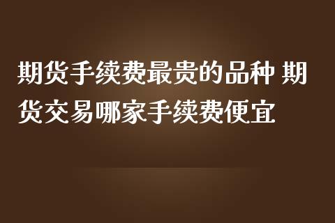 期货手续费最贵的品种 期货交易哪家手续费便宜_https://www.iteshow.com_股指期权_第2张