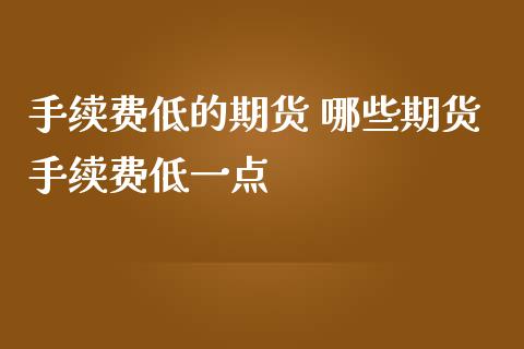 手续费低的期货 哪些期货手续费低一点_https://www.iteshow.com_股指期货_第2张