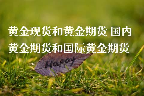 黄金现货和黄金期货 国内黄金期货和国际黄金期货_https://www.iteshow.com_股指期货_第2张