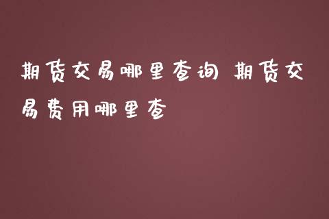 期货交易哪里查询 期货交易费用哪里查_https://www.iteshow.com_商品期货_第2张