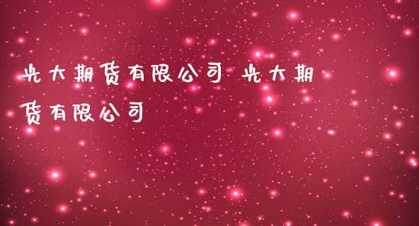 光大期货有限公司 光大期货有限公司_https://www.iteshow.com_期货公司_第2张