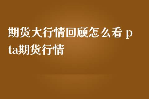 期货大行情回顾怎么看 pta期货行情_https://www.iteshow.com_期货交易_第2张