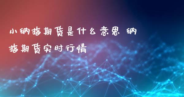 小纳指期货是什么意思 纳指期货实时行情_https://www.iteshow.com_期货手续费_第2张