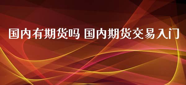 国内有期货吗 国内期货交易入门_https://www.iteshow.com_期货公司_第2张