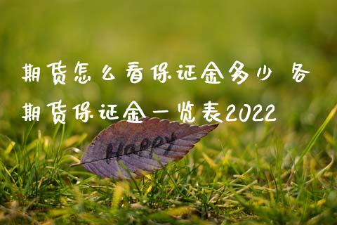 期货怎么看保证金多少 各期货保证金一览表2022_https://www.iteshow.com_商品期权_第2张