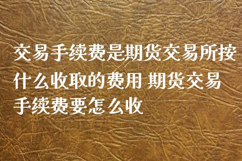 交易手续费是期货交易所按什么收取的费用 期货交易手续费要怎么收_https://www.iteshow.com_期货知识_第2张