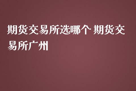 期货交易所选哪个 期货交易所广州_https://www.iteshow.com_股指期货_第2张