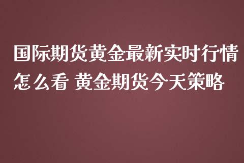 国际期货黄金最新实时行情怎么看 黄金期货今天策略_https://www.iteshow.com_股指期权_第2张