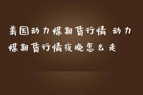 美国动力煤期货行情 动力煤期货行情夜晚怎么走_https://www.iteshow.com_期货公司_第2张