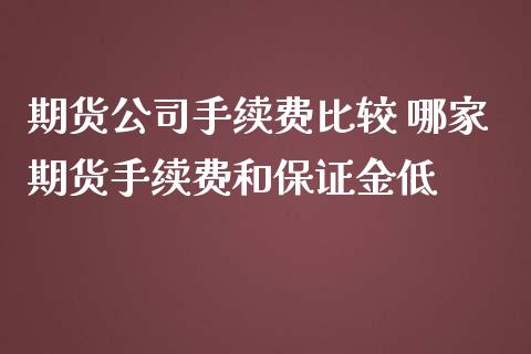 期货公司手续费比较 哪家期货手续费和保证金低_https://www.iteshow.com_商品期货_第2张