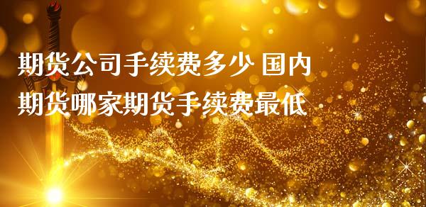 期货公司手续费多少 国内期货哪家期货手续费最低_https://www.iteshow.com_期货百科_第2张