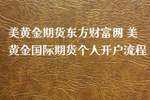 美黄金期货东方财富网 美黄金国际期货个人开户流程_https://www.iteshow.com_商品期货_第2张